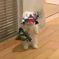 original sound - tussineando