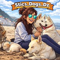 sticsdogsdz