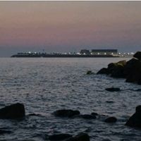sea1581