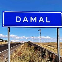 orijinal ses