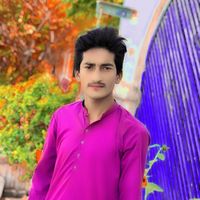 imran.malik3988