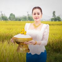 alygood015737