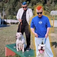 dogoguatemaltecooficial