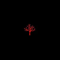 original sound - neiderp007
