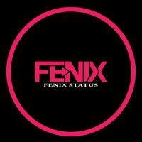 fenixstatus1