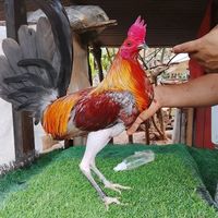 cuadraelsolo23