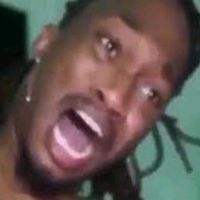 dreamybullfan198