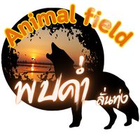 เสียงต้นฉบับ - Salanmis Nivoranusit