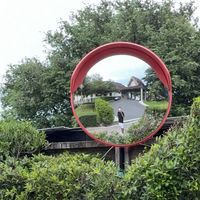 الصوت الأصلي