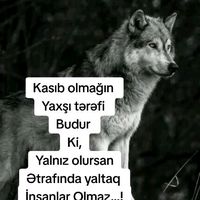 orijinal ses