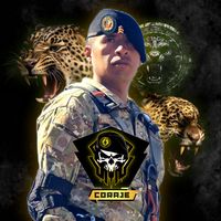 elcarryjr