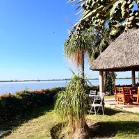 original sound - whotfiscxrl