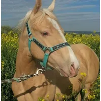 original sound - vivic_1910