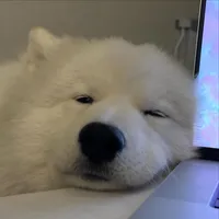 original sound - lunarist.m