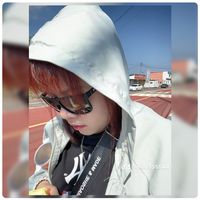 mild335544