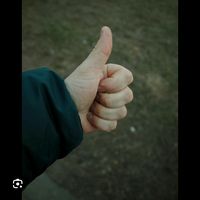 suamotiivacaodiariia