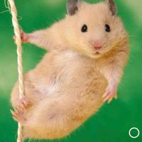 オリジナル楽曲 - としさん