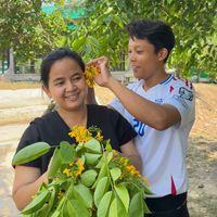 မူရင်းအသံ - Nan Winkyi