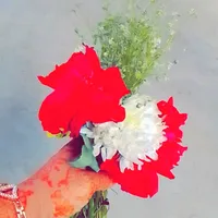 original sound - sultana.baby.bubli