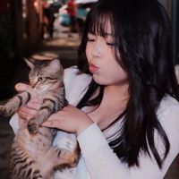 nhạc nền - Hinaa ✩