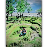 heymasud1