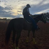 alessandro._filho