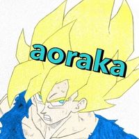 3571592486aoraka
