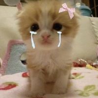 オリジナル楽曲 - ぁゃ🥲