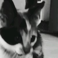 l0ve_hp