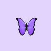 amira_sf