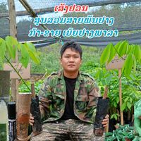 sengyuan45user98100105