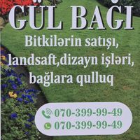 orijinal səs