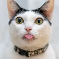 ชอบนอน แล้วมะ