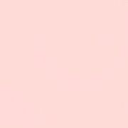 응애챌린지