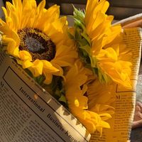 เสียงต้นฉบับ - ทานตะวัน🌻