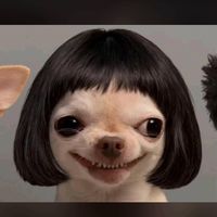 prettylillucy_