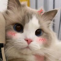 i_image