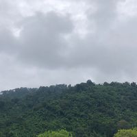 fangcu_xinmp