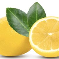 오리지널 사운드 - 건축주직분양 신축빌라