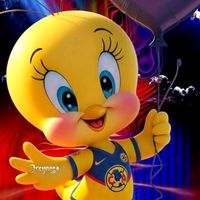 letyamerikanistavalencia