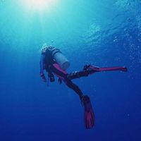 oceanlife1111