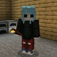 sallyface..._