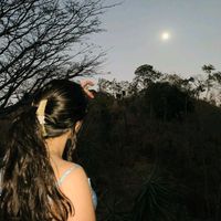 mi.vida2294