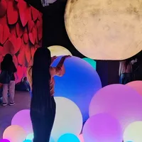 original sound - icelsanchez426