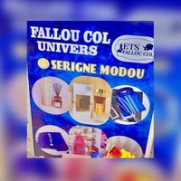 serignemodoufalloucol1
