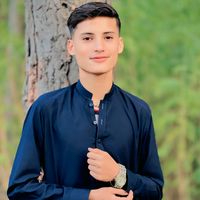 .shinwari30