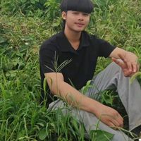 សំឡេងដើម - Torn Music 🎧🕊️
