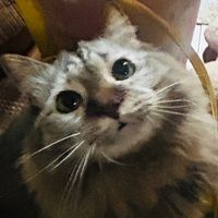 オリジナル楽曲 - みや💕