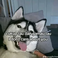 original sound - berakk330