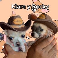 kabuky19_roblox